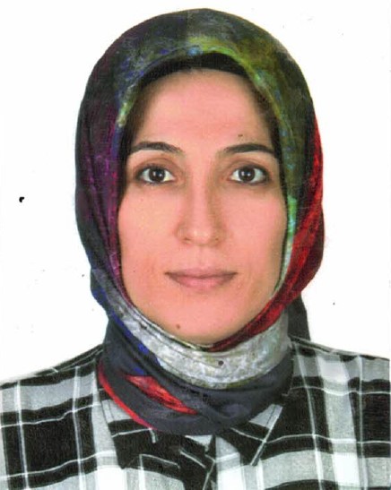 Ali Yılmaz Fotoğrafı